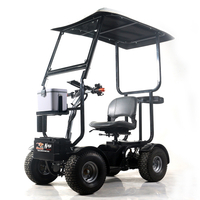 customized four wheel golf mobility scooter with sunny roof