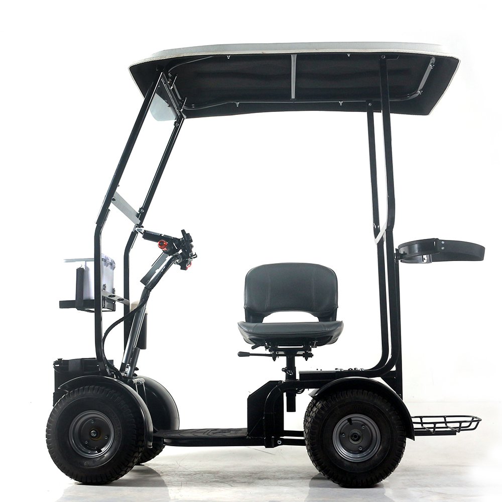 customized outdoor 4 wheel golf mobility scooter with roof and windshield
